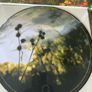 Earth - Hibernaculum (Limited Picture Disc) Image 6