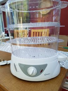 Steam cooker