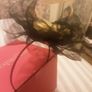 Head Piece from Jacques Vert .. Price Drop Image 4