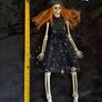 Halloween Decorations & Accessories. Various Items Image 2
