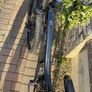 TREK Marlin 5 Image 3