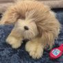 Furreal friends my list little puppy working toy Image 3