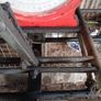 Sheep Weighing Scales Image 3