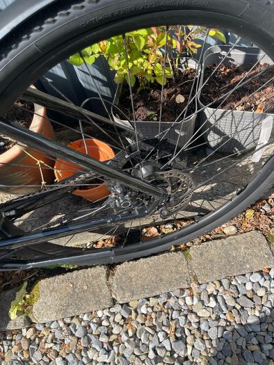 Specialized Mountain Bike