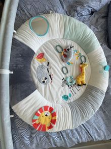 Baby Play Gym