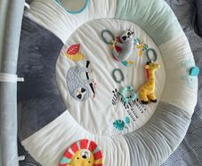 Baby Play Gym