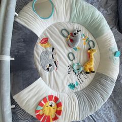Baby Play Gym