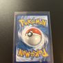 Pokemon  Iron Thorns Image 3