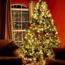 Globe String Lights Plug in, 10m 100 LED Warm White Christmas Lights Mains Powered, 8 Modes Fairy String Lights for Christmas Tree Decorations, Bedroom, Party, Gazebo, Garden (FREE POSTAGE) Image 5