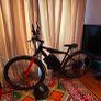 electric bike Image 4