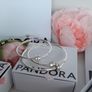 new genuine pandora moments bangles Image 8