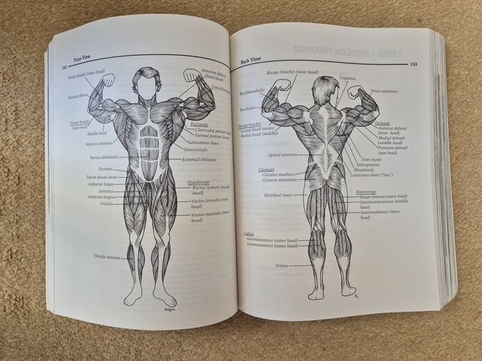 Arnold Schwarzenegger Encyclopedia of Modern Bodybuilding Paperback Book