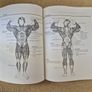 Arnold Schwarzenegger Encyclopedia of Modern Bodybuilding Paperback Book Image 5