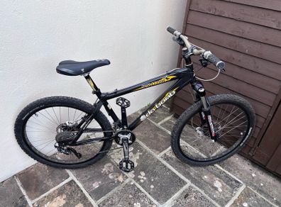 mountain bike