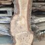 Timber,solid wood slabs,planks,live edge Image 3