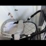 venicci pram Image 6