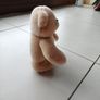 Teddy Image 3