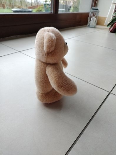 Teddy