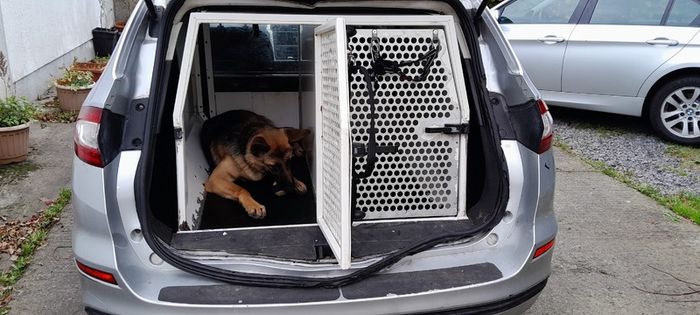 2017 Ford Mondeo Estate 1.5 ZTEC (Petrol) Dog Van