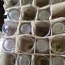 Smithwicks Pint Glasses Image 5