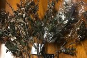 christmas  decorations