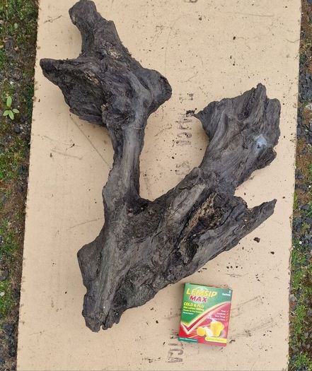 Collection of 4 Ancient Irish Bog Oak Pieces