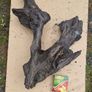 Collection of 4 Ancient Irish Bog Oak Pieces Image 2