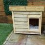 dog house Image 3