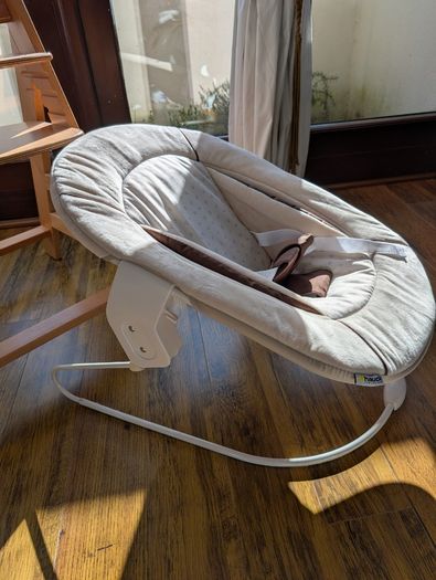 Hauck Alpha+ baby bouncer