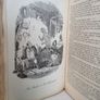 Dealings with the Firm of Dombey and Son:  Wholesale, Retail and for Exportation by Charles Dickens (PT160) Image 9