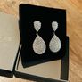 Crystals & Co Earrings Image 2