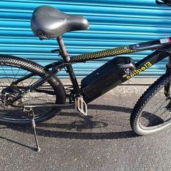 Eleglide M1 Plus electric mountain bike