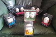 Hand Painted eggs in Cases