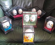 Hand Painted eggs in Cases
