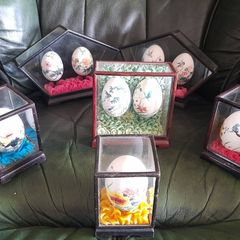 Hand Painted eggs in Cases
