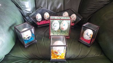 Hand Painted eggs in Cases