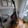 Double bass Image 2