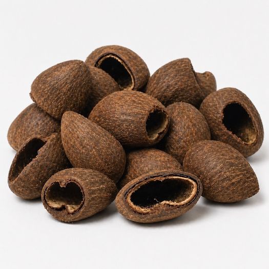 Cocos pod 6-8cm 1pcs