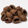 Cocos pod 6-8cm 1pcs Image 2