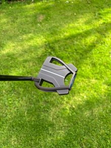 Taylormade spider tour x