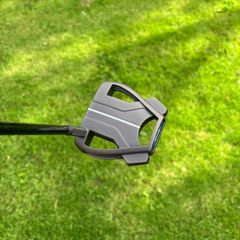 Taylormade spider tour x