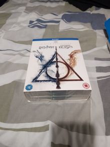 Harry Potter and Fantastic Beasts 10 Film collection