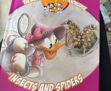 Disney educational books