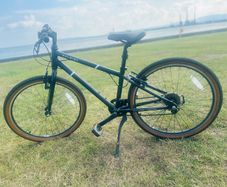 Boys Raleigh bike