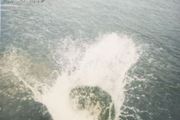 Mountain Man - Made the Harbor CD