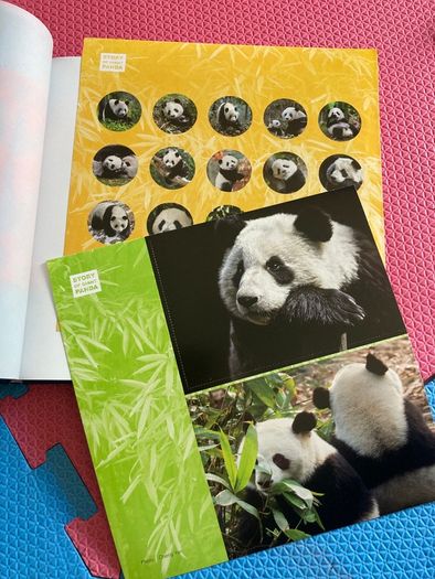 Story of Giant Panda a book full of facts and pictures