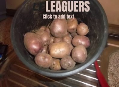 Seed Potatoes