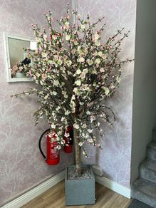 Cherry Blossom Tree Pink