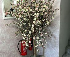 Cherry Blossom Tree Pink