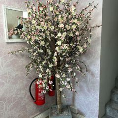 Cherry Blossom Tree Pink
